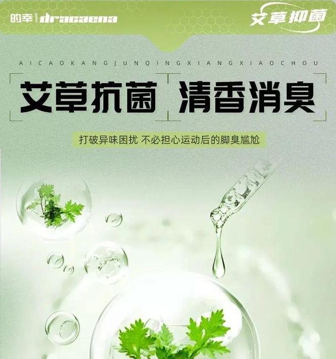 全方位呵护你的运动健康OG真人草本抗菌鞋垫(图3)